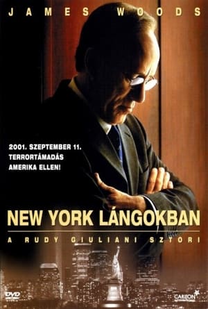 Poster New York lángokban 2003