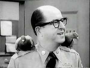 The Phil Silvers Show Bilko's Pigeons