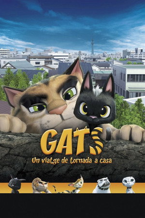 Gats: Un viatge de tornada a casa