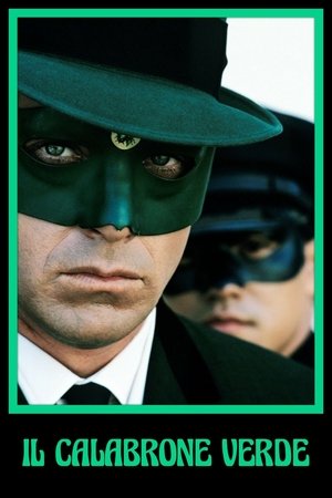 Image Il Calabrone Verde