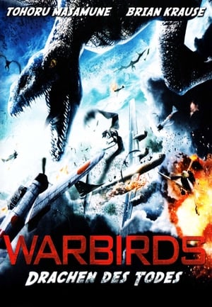 Warbirds - Drachen des Todes (2008)