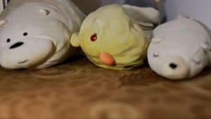 Mochas Eye Mocha’s Eye: Awakening: Welcome to Mocha