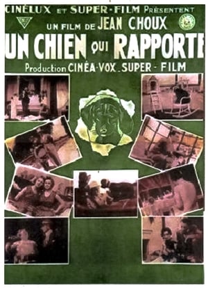 Un chien qui rapporte poster