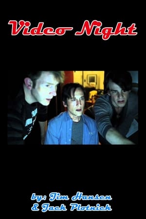 Poster Video Night (2010)