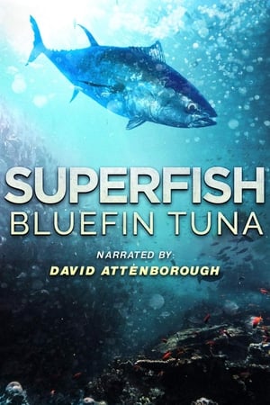 Poster Superfish: Bluefin Tuna (2012)