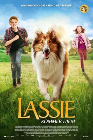 Poster Lassie Kommer Hjem 2020