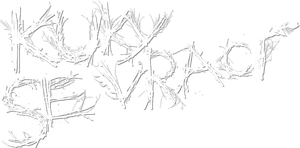 Kuky Returns — Logos 1