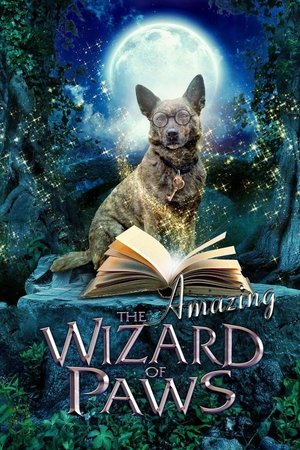 Poster The Amazing Wizard of Paws 2015
