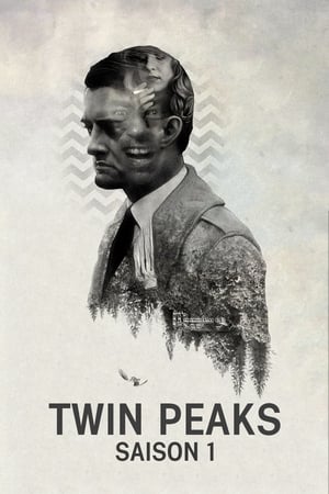 Twin Peaks: Saison 1