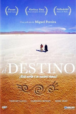 Poster El destino 2007