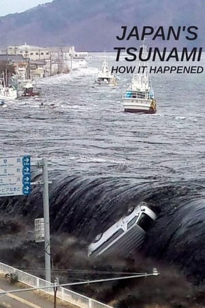 Japan's Tsunami: How It Happened film complet