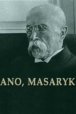 Poster Ano, Masaryk 1997