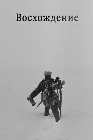 The Ascent 38