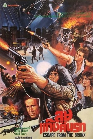 Image Escape from the Bronx