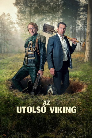 poster The Last Viking