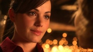 Smallville: 8×10