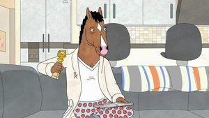 BoJack Horseman: Season 1 Episode 12 – Later