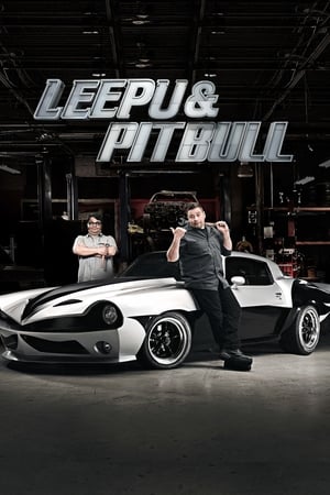 Poster Leepu & Pitbull 2015