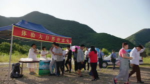 Love Stories in the Countryside: 15×15