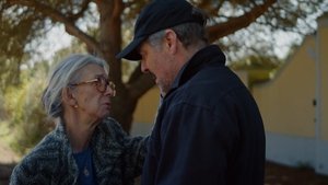 Épisode 344