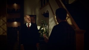 The Night ( 2021 )