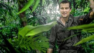 poster Running Wild with Bear Grylls