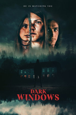 Dark Windows 21