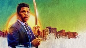 Singularidad en Justicia (2021) DVDRIP LATINO
