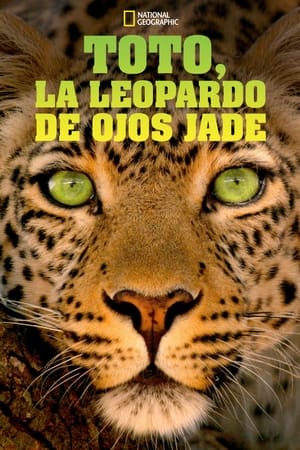 Jade Eyed Leopard