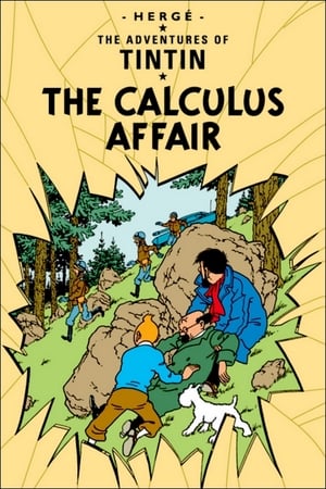 Poster The Calculus Affair (1991)