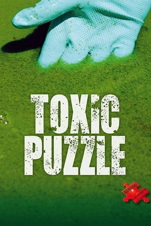 Poster Toxic Puzzle 2017