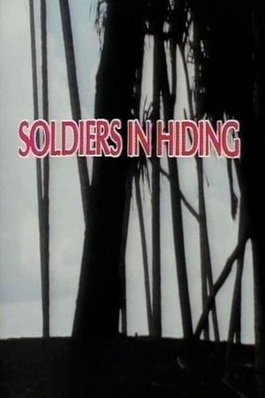 Image Soldiers in Hiding
