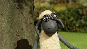 Image Ewe've Been Framed