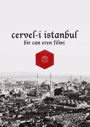 Image Cervel-i İstanbul