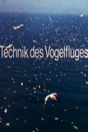 Image Technik des Vogelfluges