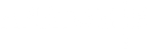 Anatomia — Logos 3