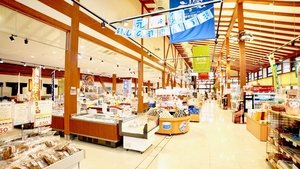 Journeys in Japan: 12×18