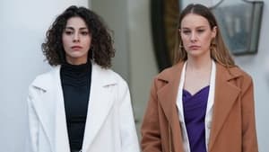 Bir Küçük Gün Işığı: 1×31