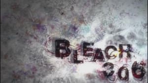 Bleach: 1×306