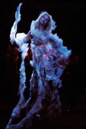 Illusion of Kate Moss (2006)