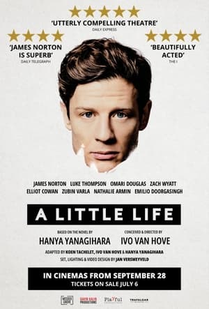 Poster di A Little Life