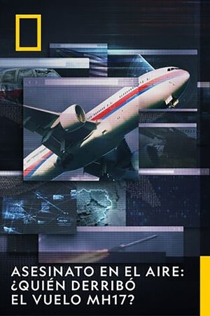 Image Asesinato en el aire: ¿Quién derribó el vuelo MH17?