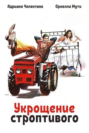 Poster Укрощение строптивого 1980