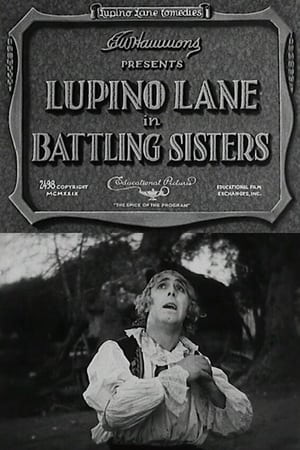 Poster Battling Sisters (1929)