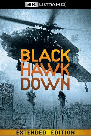 poster Black Hawk Down