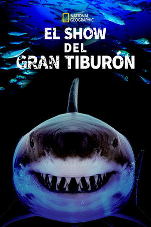 Great Shark Chow Down 25