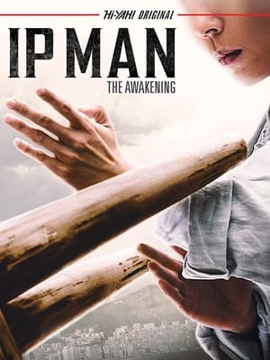 poster Ip Man: The Awakening