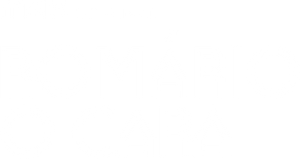 Romário, o Cara — Logos 2