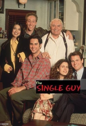 The Single Guy poster