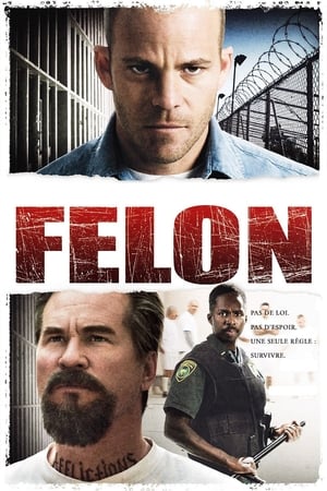 Poster Felon 2008